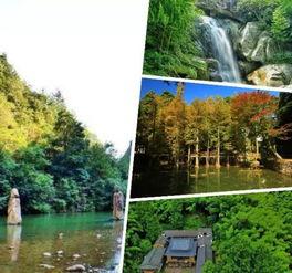 浙江天台爆料新闻最新消息,惊现神秘事件引关注  第3张