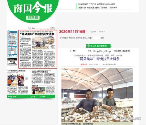 今天广西的爆料新闻最新,神秘事件引发全民热议  第2张